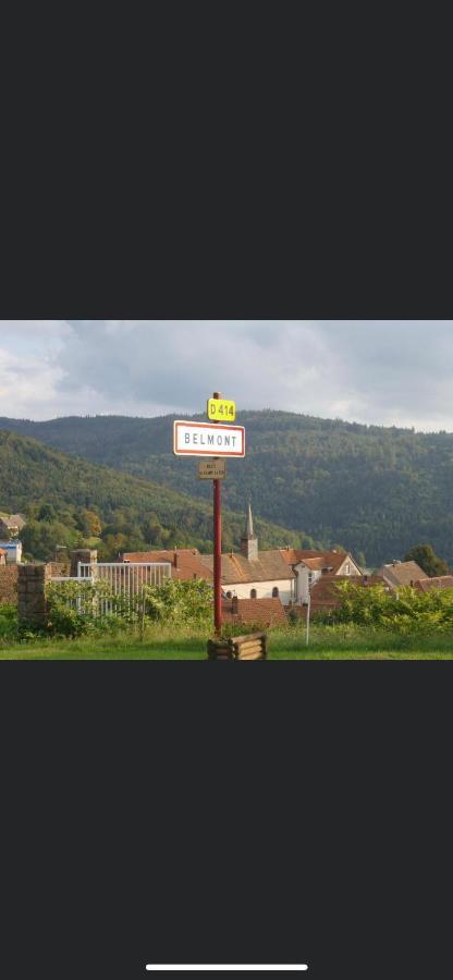 Gite De Montagne Au Pied Du Champ Du Feu Belmont  Buitenkant foto